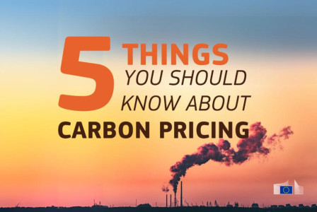 Carbon pricing banner