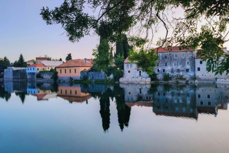 A body of water surrounded by trees and buildings