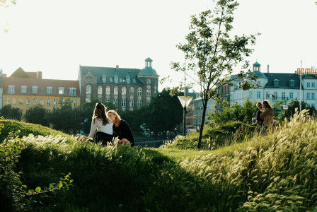 Two women sitting on a green grass