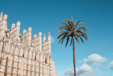 palm-tree-beside-brown-building-under-cloudy-sky in Spain