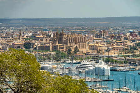 An old cathedral seen from a distance