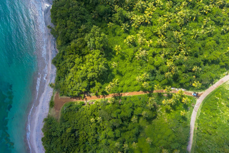 green-trees-near-river-during-daytime