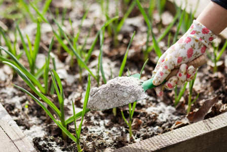 Gardening fertiliser