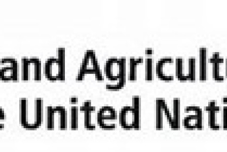 Logo of FAO