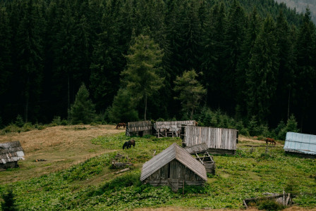 a-man-walking-across-a-grass-covered-field in Carpathia mountains