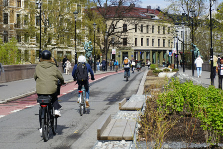 People on bikes cycling in the city