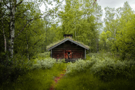 brown-wooden-house-in-the-middle-of-green-trees