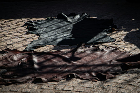 Two different pieces of leather laid out on surface and drying under the sun. 