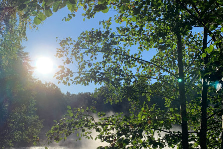 the-sun-shines-through-the-trees-over-the-water