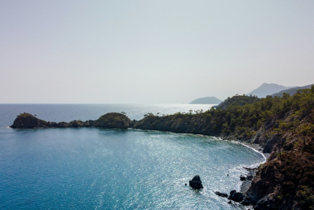 green-trees-on-island-during-daytime