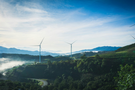 a group of wind turbines on a hill