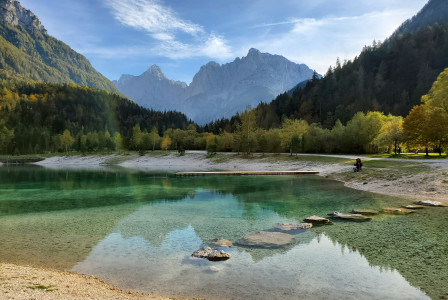 green-trees-near-lake-under-blue-sky-during-daytime