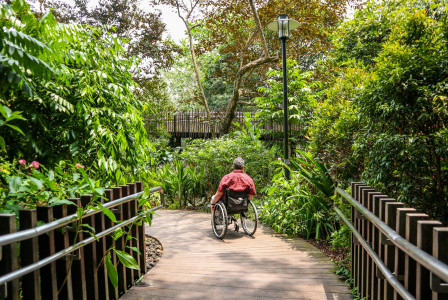 /man-in-red-shirt-riding-bicycle-on-pathway-during-daytime