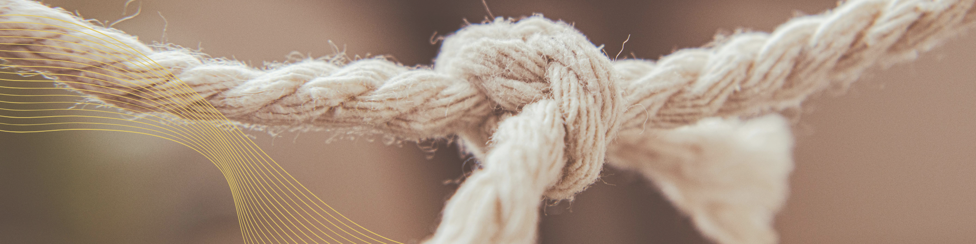 Close-up of a knotted rope.