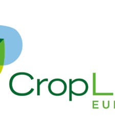 Logo of Croplife Europe