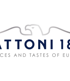Logo of Mattoni 1873