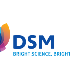 Logo of DSM