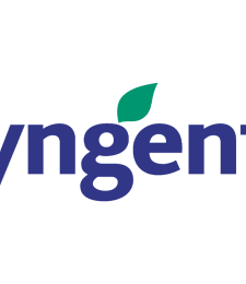 Logo of Syngenta