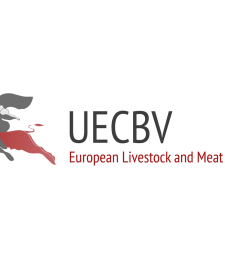 Logo of UECBV Logo of UECBV