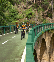 An illustrative photo of people cycling on the bridge