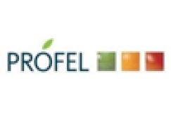 Logo of PROFEL