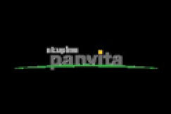 Logo of Panvita Group