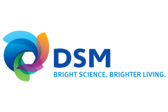Logo of DSM