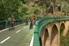 An illustrative photo of people cycling on the bridge
