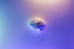 3D rendering on a human brain on a same-colour background, by Milad Fakurian on unsplash. 