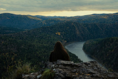 person-overlooking-vast-forest-and-river-valley