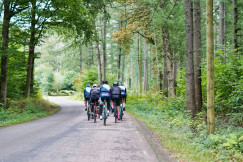 people-riding-bicycles-on-road-during-daytime