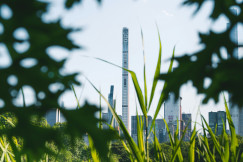 The picture presents the power plant behind the plants.