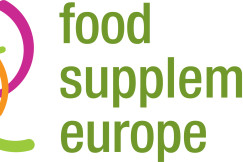 FSE Logo
