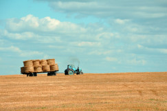 A picture presents a tractor transporting hay bales across a field.