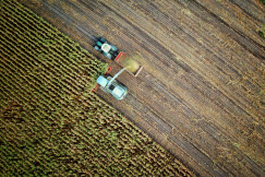 The picture presents aerial harvesting on farmland.