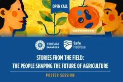 The picture presents international symposium's poster.
