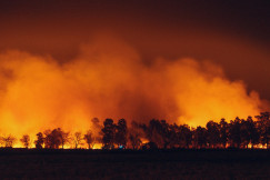 The photo presents a forest fire at night.