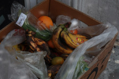 The photo presents discarded fruit and vegetables in a box.