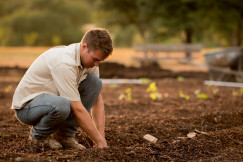 The photo presents a man working in a field.