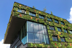 The picture showcases a modern building integrated with lush greenery.