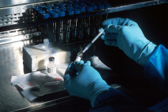 The photo presents a researcher handling laboratory samples.