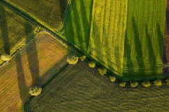 The photo presents green agricultural fields from above.