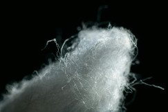 Close-up of a soft mass of fine white textile fibres, with loose strands visible against a black background.