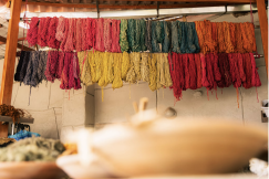 Rows of yarn hanging to dry in a textile workshop, arranged by colour in shades of red, pink, green, blue, orange, yellow and grey.