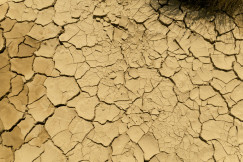 The photo presents dry, cracked soil.
