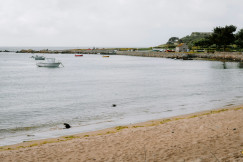 The photo presents a sandy beach beside a quiet harbour, with small boats, a stone seawall and trees under an overcast sky.