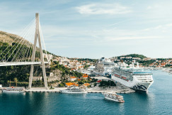 The photo presents cruise ships docked in a harbour beside a cable-stayed bridge and hillside buildings.