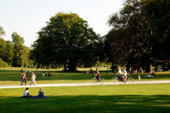 The photo presents people walking and cycling along a park path, while others sit, play and relax on grassy lawns surrounded by large trees.