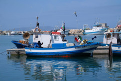 The photo presents Italian fishers at the harbor.
