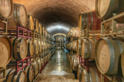 The photo presents rows of wooden wine barrels stacked on both sides of a narrow cellar with an arched ceiling.